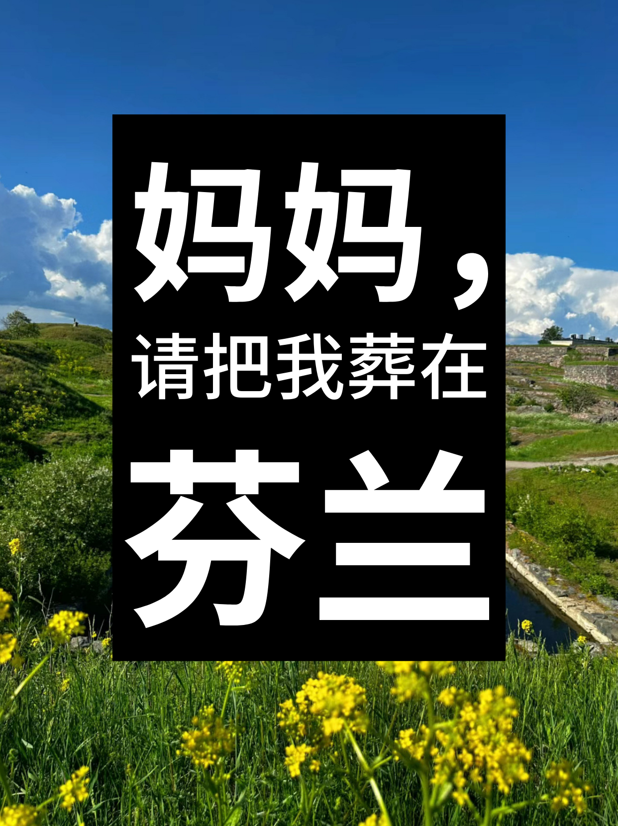 九游网址-芬兰虽败犹荣，奋起反击表现意外出色的简单介绍